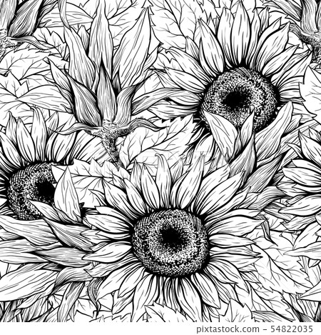 Sunflowers seamless engraved ink pen pattern 54822035