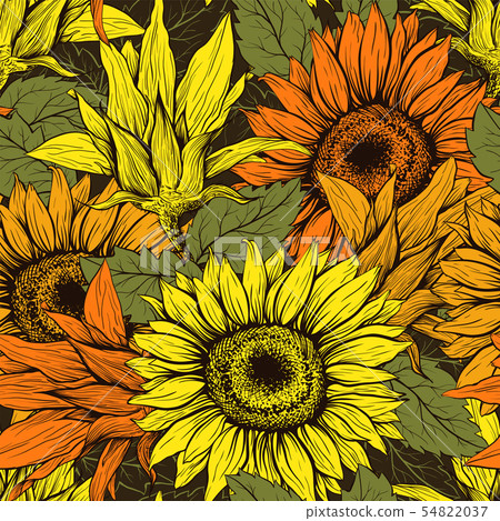 Sunflower hand drawn seamless ink pen pattern Sunflower hand drawn seamless ink pen pattern 54822037