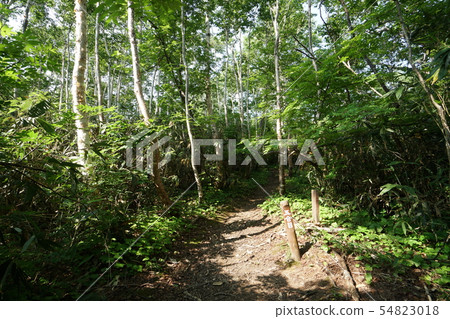 積丹山步道第5站 積丹山步道第5站 54823018