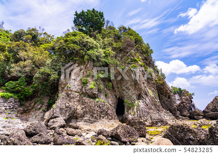 (Shizuoka Prefecture) South Izu Tarai Coral Reef 54823285