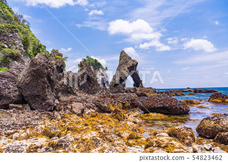 （靜岡縣）南伊豆塔萊山口 54823462