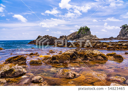 (Shizuoka Prefecture) South Izu Tarai Pass 54823465