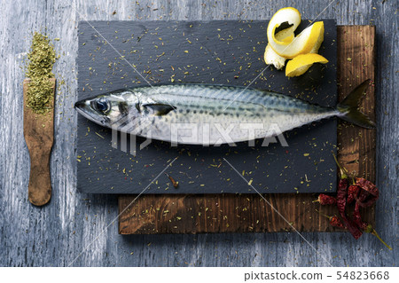 raw fresh mackerel on a slate tray raw fresh mackerel on a slate tray 54823668