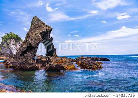 (Shizuoka Prefecture) Iris of Minami Izu Tarai Cape Kaigahama 54823729