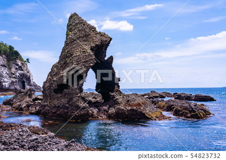 (Shizuoka Prefecture) Iris of Minami Izu Tarai Cape Kaigahama 54823732