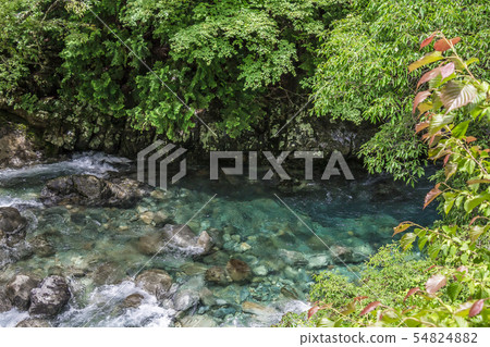 長野縣阿特拉山谷 54824882