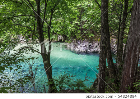 長野縣阿特拉山谷 54824884