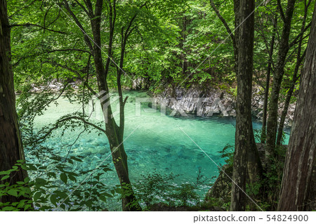 長野縣阿特拉山谷 長野縣阿特拉山谷 54824900