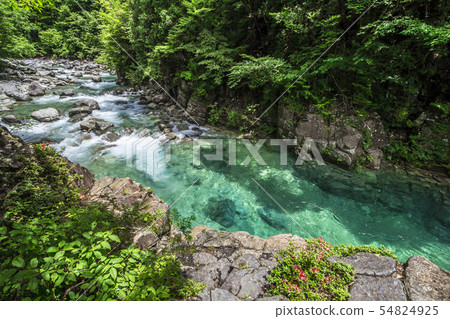 Nagano Prefecture Atera Valley Kumagaoi Nagano Prefecture Atera Valley Kumagaoi 54824925