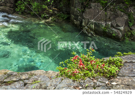 長野縣Atera Valley Kumagaoi 54824929