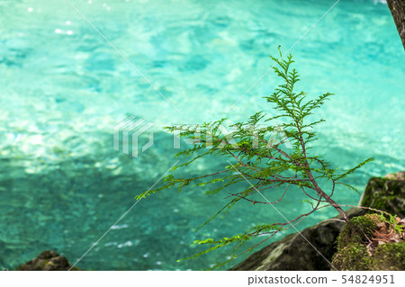 長野縣阿特拉山谷 54824951