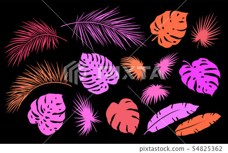 colorful tropical set palm leaves and branches colorful tropical set palm leaves and branches 54825362