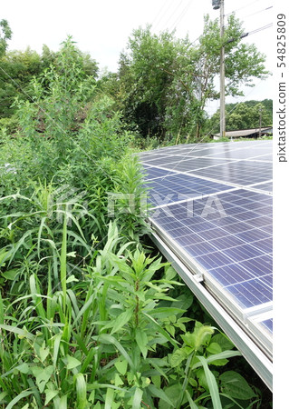 太陽能發電廠被雜草包圍 太陽能發電廠被雜草包圍 54825809