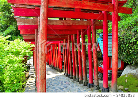 Saga scenery Shukutoku Inari Shrine Saga scenery Shukutoku Inari Shrine 54825858