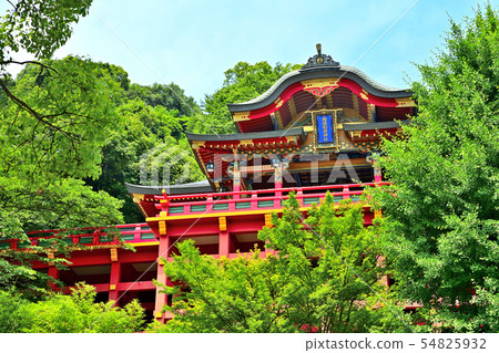 佐賀風景Shukutoku Inari神社 54825932