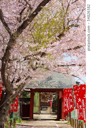 Enmeiji寺(千葉縣白井市) Enmeiji寺(千葉縣白井市) 54826382