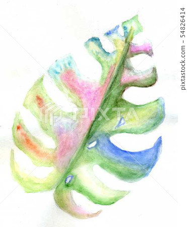 Monstera Leaves Art 54826414