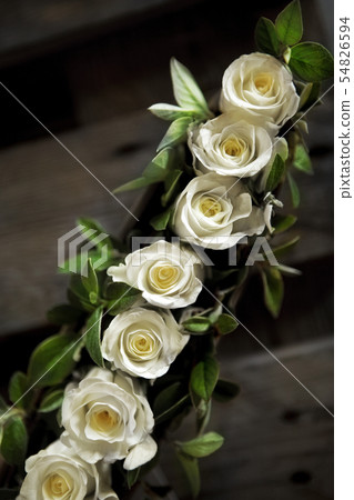 Close up of roses 54826594