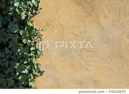 Natural background with empty yellow wall and 54826645