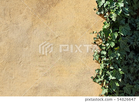 Natural background with empty yellow wall and Natural background with empty yellow wall and 54826647