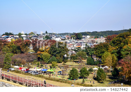 [Tokorozawa City, Saitama Prefecture] October Sayama Park Autumn Leaves 54827442