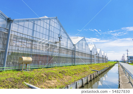  Blue sky and clouds 54827830