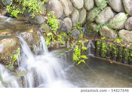 Water flow and moss Water flow and moss 54827846