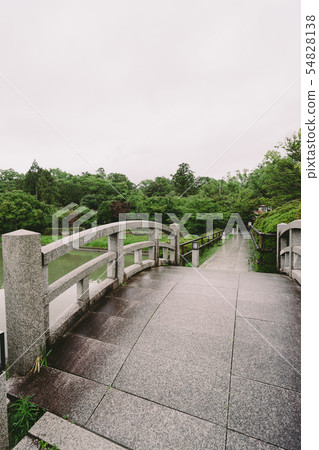 Scenery of Nagaoka Tenman-gu Scenery of Nagaoka Tenman-gu 54828138