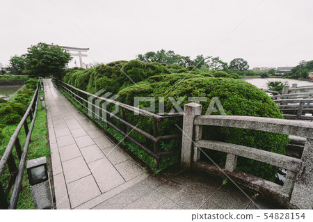 Nagaoka Tenman-gu的風景 54828154