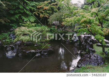 Scenery of Nagaoka Tenman-gu Scenery of Nagaoka Tenman-gu 54828187