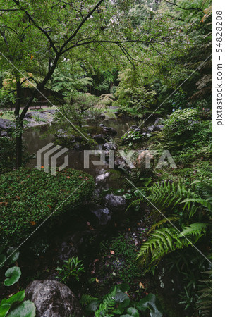 Nagaoka Tenman-gu的風景 54828208