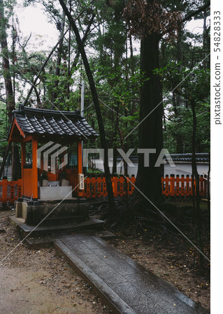 Nagaoka Tenman-gu的風景 Nagaoka Tenman-gu的風景 54828333