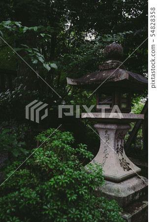 Nagaoka Tenman-gu的風景 54828358