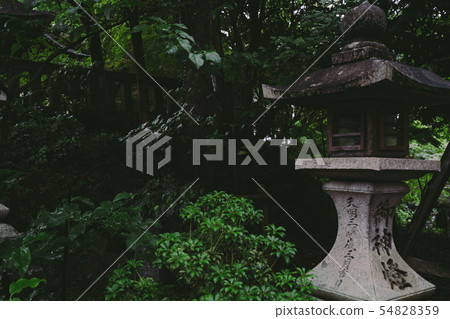 Nagaoka Tenman-gu的風景 Nagaoka Tenman-gu的風景 54828359