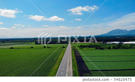 鳥瞰北海道Kamishihoro壯麗的土地牧場一條路 鳥瞰北海道Kamishihoro壯麗的土地牧場一條路 54828475