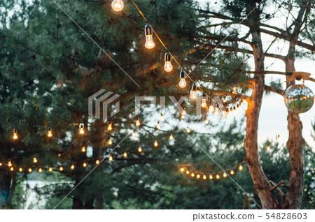 Light bulb decor in outdoor party, Wedding party Light bulb decor in outdoor party, Wedding party 54828603