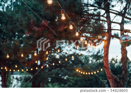 Light bulb decor in outdoor party, Wedding party Light bulb decor in outdoor party, Wedding party 54828605