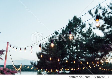Light bulb decor in outdoor party, Wedding party Light bulb decor in outdoor party, Wedding party 54828607