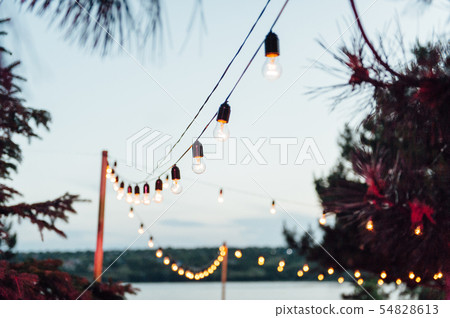 Light bulb decor in outdoor party, Wedding party Light bulb decor in outdoor party, Wedding party 54828613