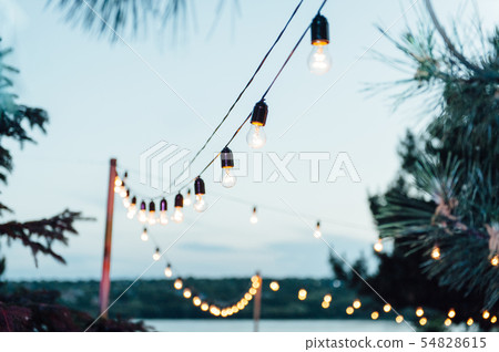 Light bulb decor in outdoor party, Wedding party Light bulb decor in outdoor party, Wedding party 54828615