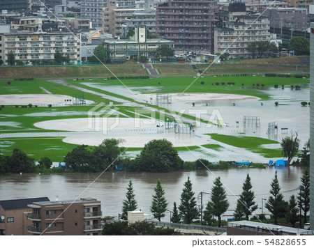 大雨後多摩河/多摩河大雨過後 54828655