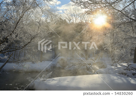 Hoarfrost on the riverside Hoarfrost on the riverside 54830260