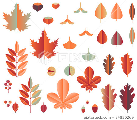 Autumn leaves and fruits in papercut design Autumn leaves and fruits in papercut design 54830269