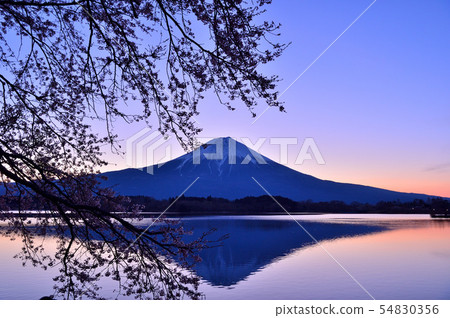 Lake Tanuki waiting for sunrise Lake Tanuki waiting for sunrise 54830356