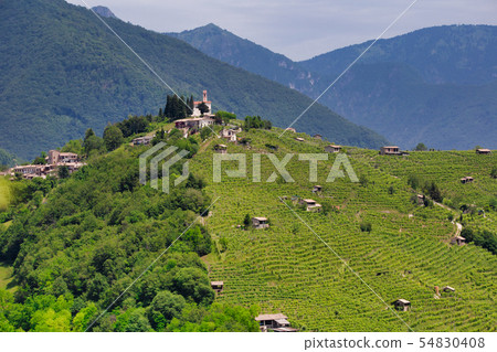 Combai village on a hill among vineyards 54830408