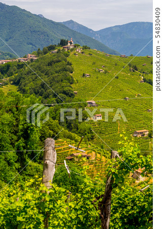 Panorama of Prosecco wine region, Combai village 54830409