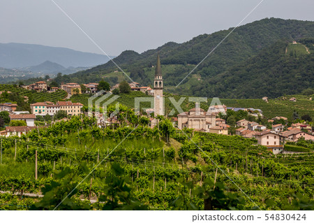 Santo Stefano village surrounded by vineyards Santo Stefano village surrounded by vineyards 54830424