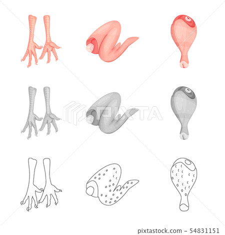 Isolated object of product and poultry logo. Set of product and agriculture stock symbol for web. Isolated object of product and poultry logo. Set of product and agriculture stock symbol for web. 54831151