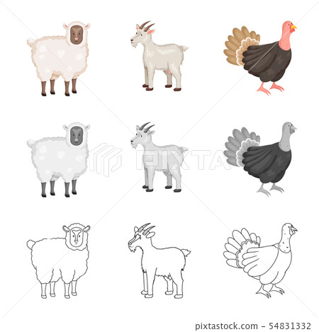 Vector design of breeding and kitchen logo. Set of breeding and organic vector icon for stock. Vector design of breeding and kitchen logo. Set of breeding and organic vector icon for stock. 54831332