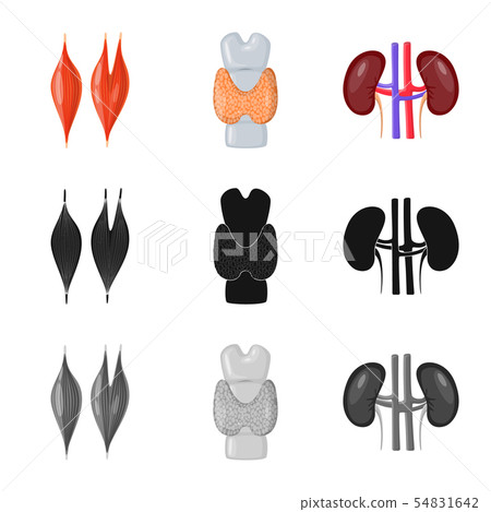 Isolated object of biology and scientific symbol. Set of biology and laboratory stock vector 54831642